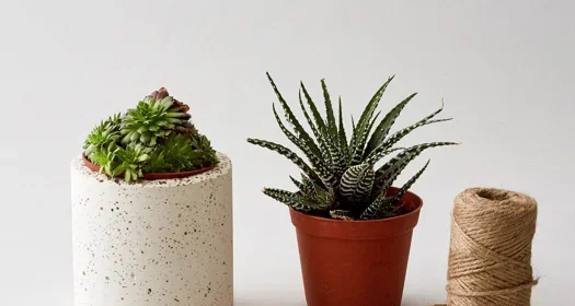 Acrylic Monogram Name Plate