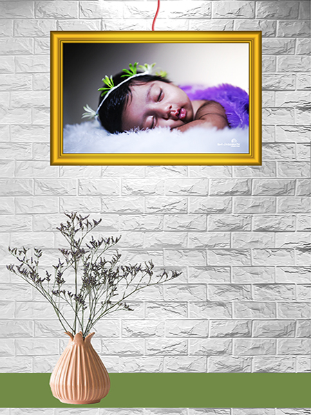 Clip on Golden Fiber Frame